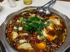 -乡土特色.冷锅鱼.牦牛肉汤锅