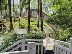 -中国大熊猫保护研究中心雅安碧峰峡基地