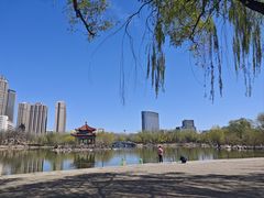 -青城公园