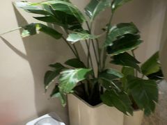 -泰合玺·精油疗愈 SPA(南京河西万达店)