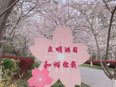 -高东镇樱花园