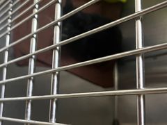 -艾贝尔宠物医院 ·内科全科(梁溪路店)