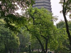 -玲珑塔公园
