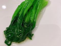 菜心-新光酒家·河豚·海鲜·蟹料理(浦东店)
