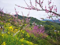 -石潭村
