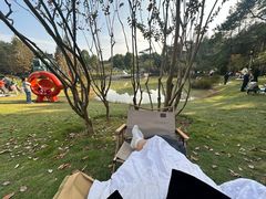 -铁山坪森林公园