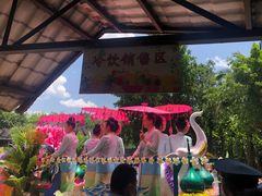 -西双版纳傣族园