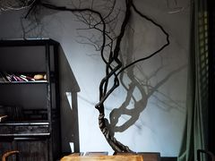 -龙井草堂