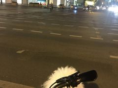 -鲍师傅糕点(春熙路店)