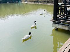 -杭州野生动物世界