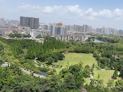 -成都南湖公园