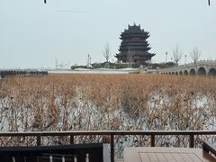 -阳澄湖半岛旅游度假区