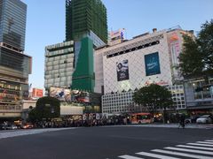 -涩谷全向十字路口