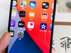 -Apple零售店(中街大悦城店)