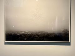 -知美术馆