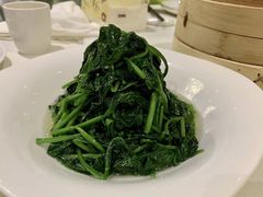 -上海新锦江大酒店