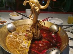 -小龙翻大江文化火锅(宽窄店)