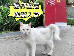 -北京鲁迅博物馆(北京新文化运动纪念馆鲁博馆区)