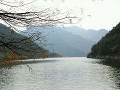 -小芝红树林