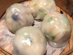 -八樂居