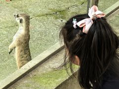 -苏州太湖西山岛开心农场
