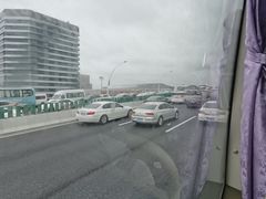 -瑞慈体检上海普陀机构