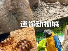 -海合安武汉极地海洋公园