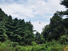 -苍山感通索道