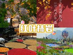-淄博花灯齐彩城