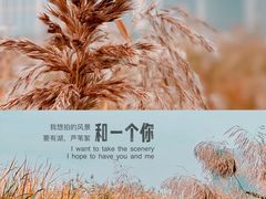 -保定东湖公园(莲池区)