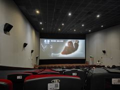 -保利国际影城(中环店)