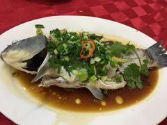 -先鲜鲫鱼粥