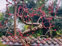 -成都杜甫草堂博物馆