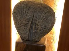 -森波拉火山温泉