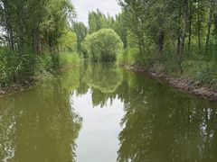 -白洋淀景区