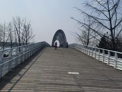 -大兴滨河森林公园