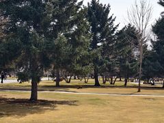 -东北农业大学饺子园
