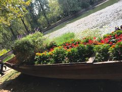 -东湖落雁景区