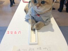 -% Arabica阿拉比卡咖啡烘焙工坊