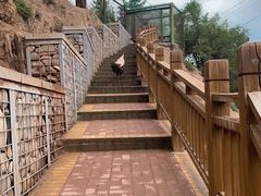 -青藏高原野生动物园