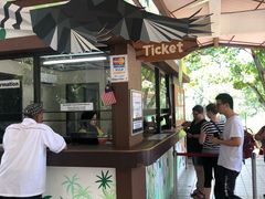 -吉隆坡雀鸟公园
