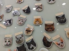 -四月宠物医院·猫专科·心脏专科·内科(转塘店)