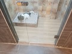 -宠物之家Pets Home 宠物寄养酒店