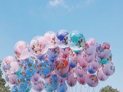 -上海迪士尼度假区