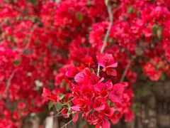 -中国建设银行(成都双林支行)