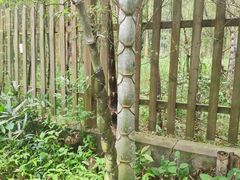-黄公望隐居地