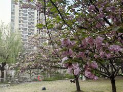 -苏州河梦清园环保主题公园