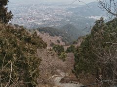 -香山公园