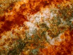 -蜻蜓逐宴全日制西餐厅I古北水镇大酒店