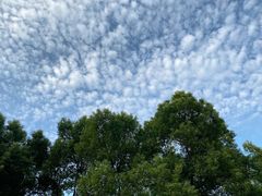 -西北湖绿化广场